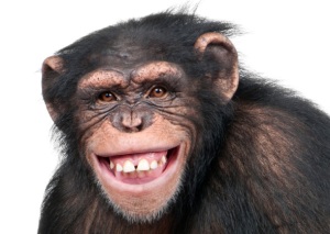 Monkey-smiling